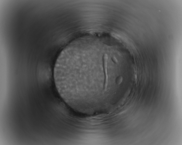 X0000091930748200709261914