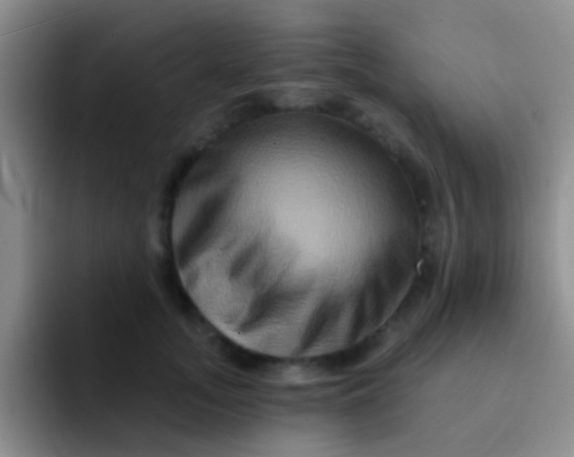 X0000091930755200709261914