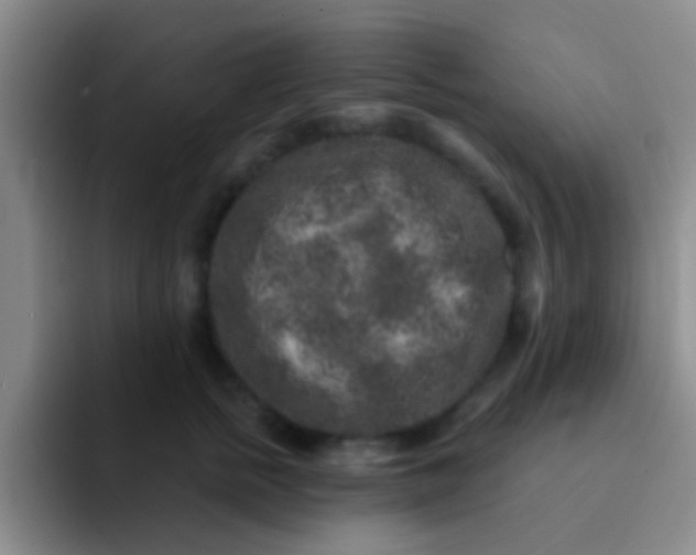 X0000091930758200709261914