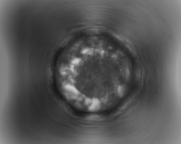 X0000091930759200709261914