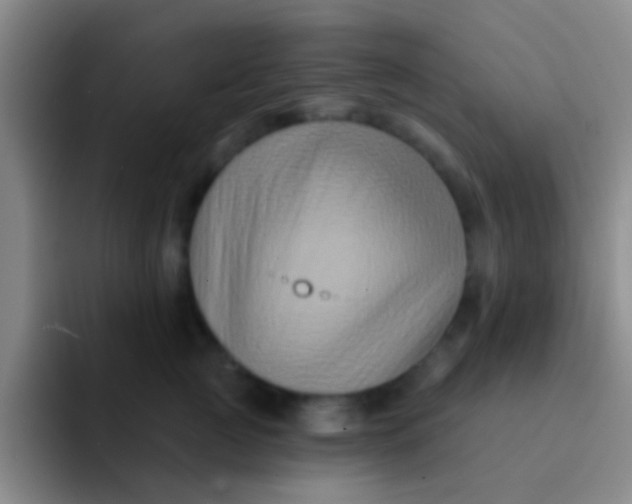 X0000091930761200709261914