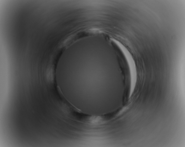 X0000091930762200709261914