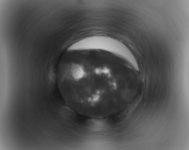 X0000091930763200709261914