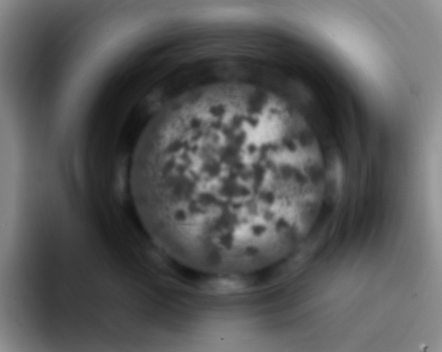 X0000091930765200709261914