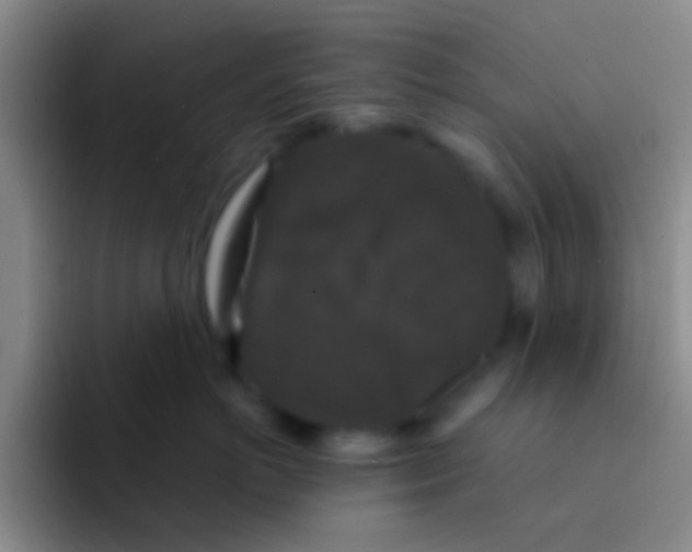 X0000091930766200709261914