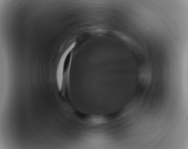 X0000091930767200709261914