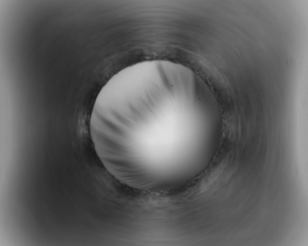 X0000091930770200709261913
