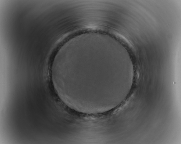 X0000091930776200709261913