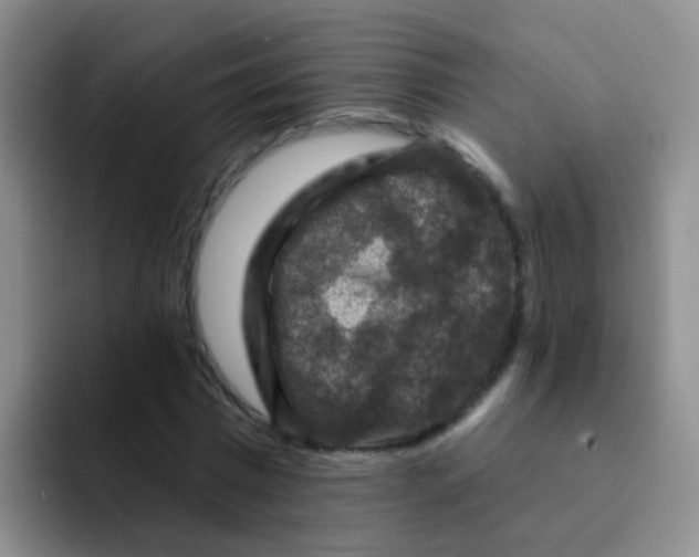 X0000091930777200709261913