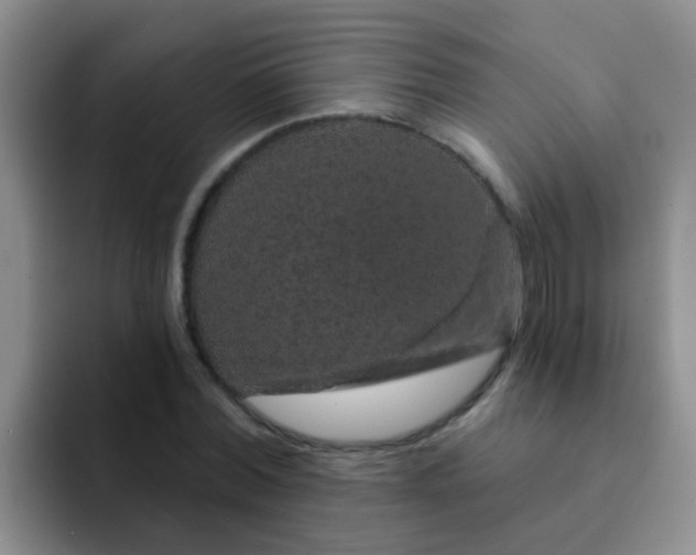 X0000091930780200709261913