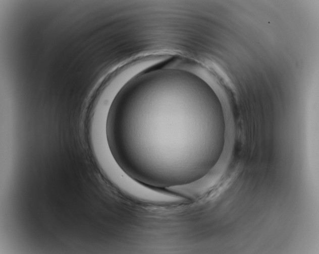 X0000091930781200709261913