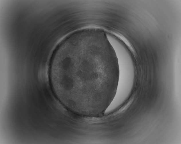 X0000091930783200709261913