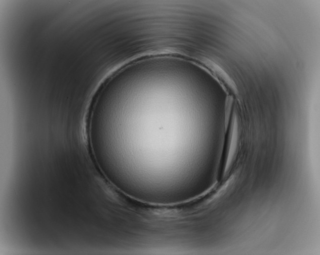 X0000091930789200709261913