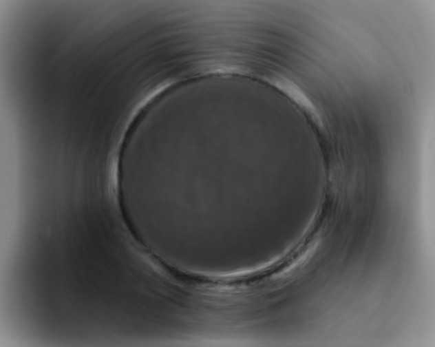 X0000091930790200709261913
