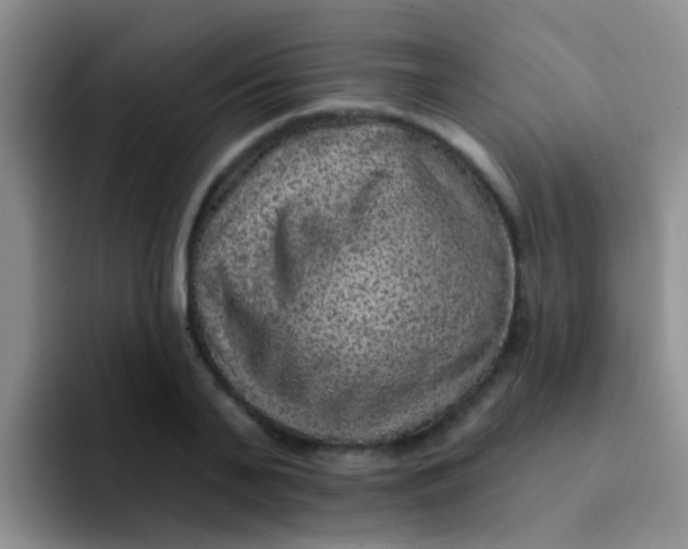 X0000091930791200709261913