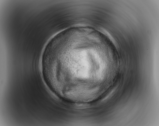 X0000091930795200709261913