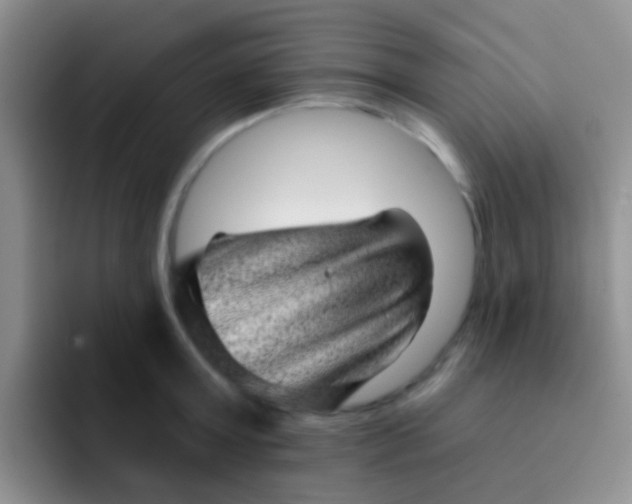 X0000091930803200709261913
