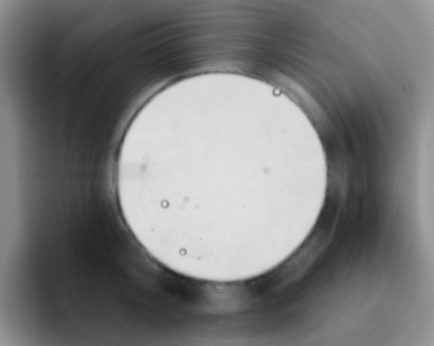 X0000091930804200709261913