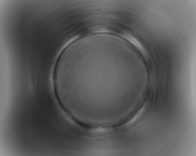 X0000091930806200709261913