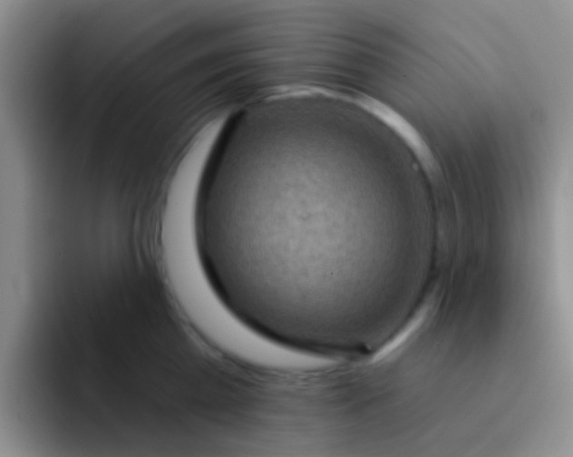 X0000091930809200709261913