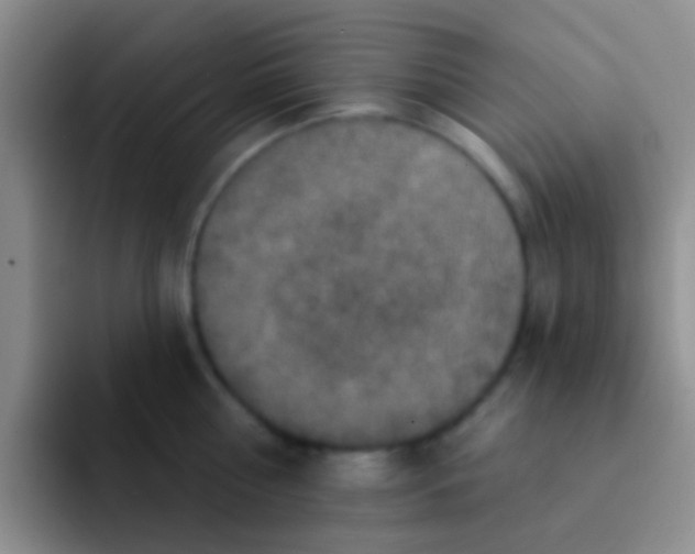 X0000091930810200709261913