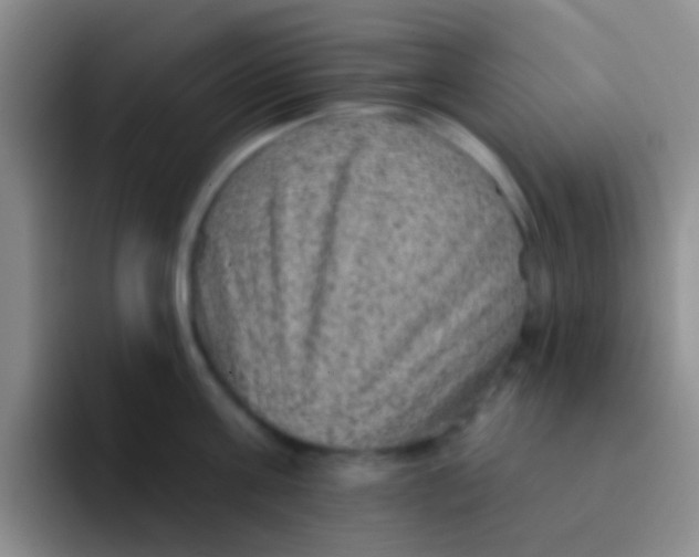 X0000091930811200709261913