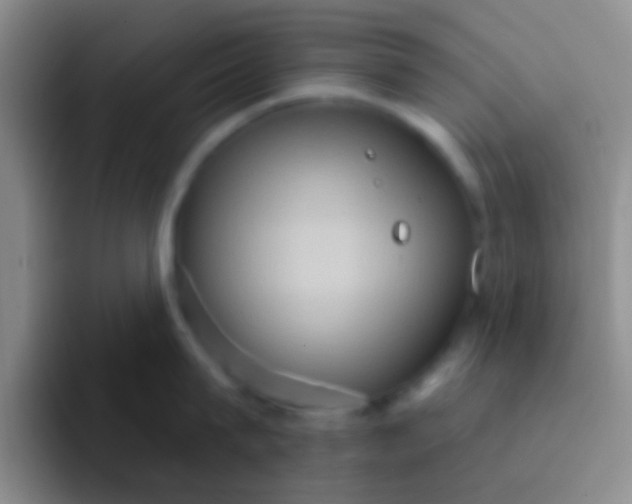 X0000091930815200709261913