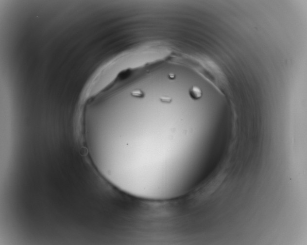 X0000091930816200709261913