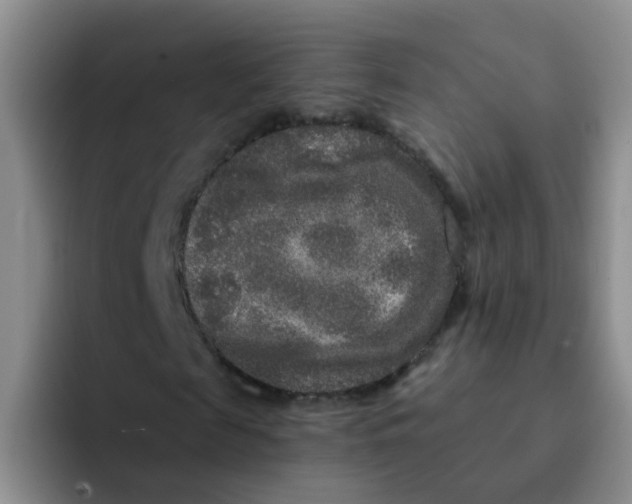 X0000091930817200709261912