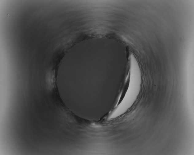 X0000091930818200709261912