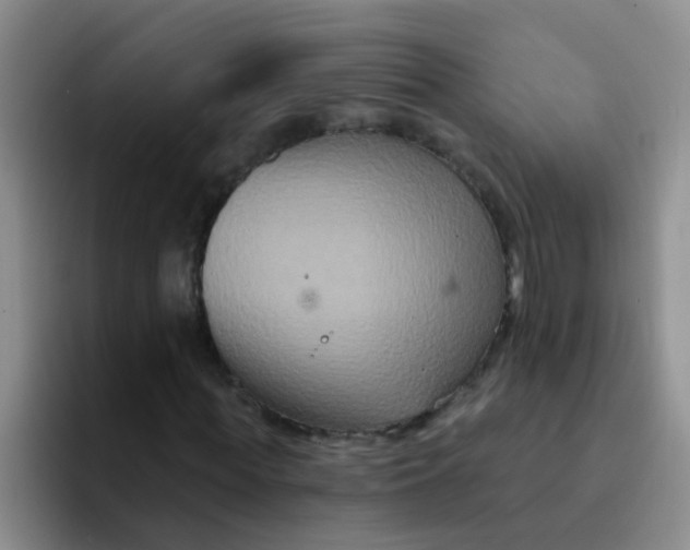 X0000091930819200709261912