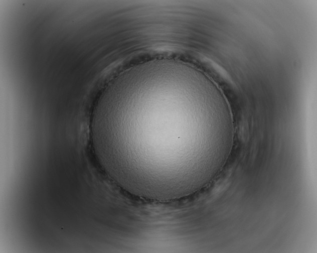 X0000091930821200709261912