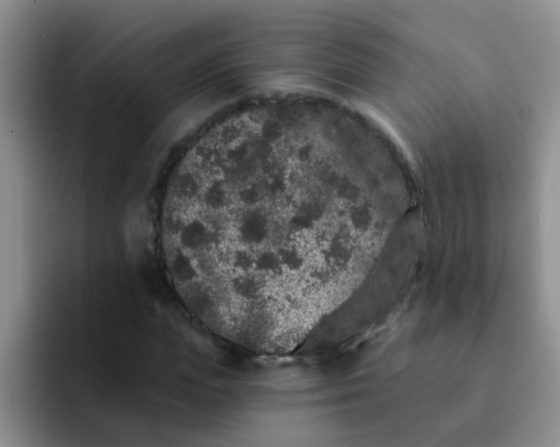 X0000091930823200709261912