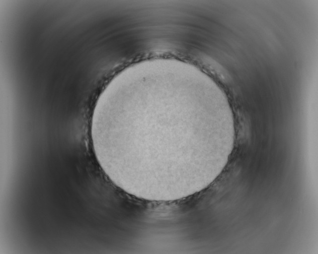 X0000091930824200709261912