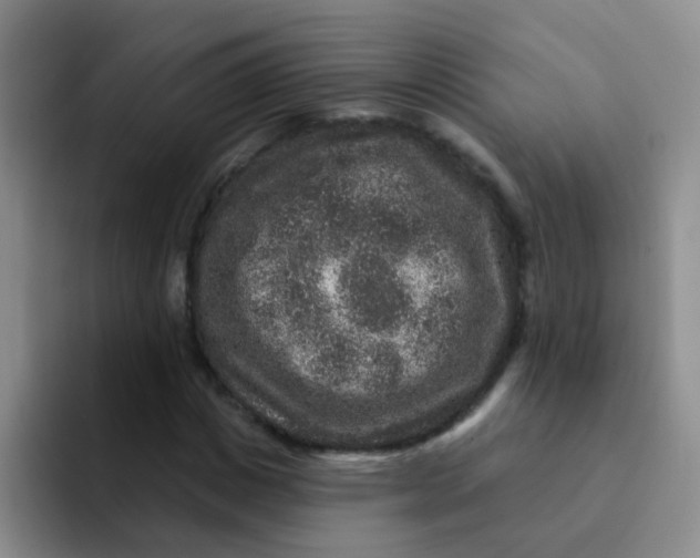X0000091930825200709261912