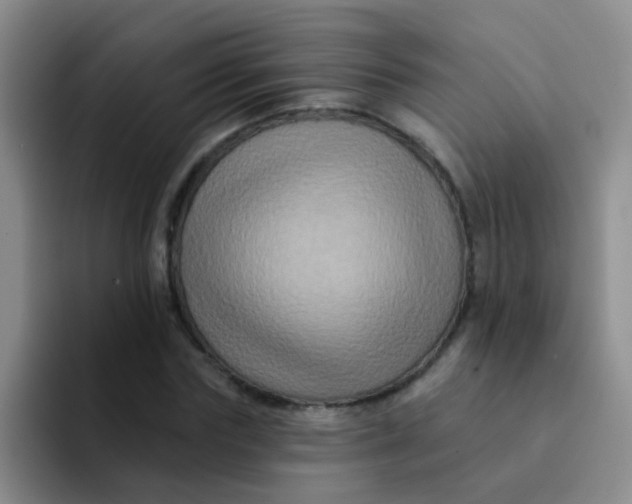 X0000091930827200709261912