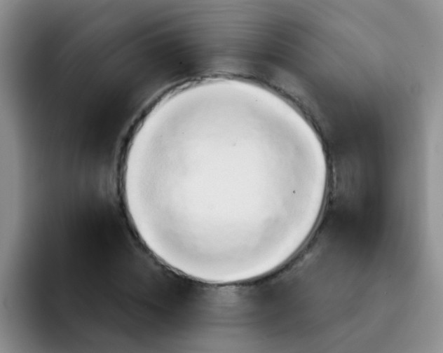 X0000091930828200709261912