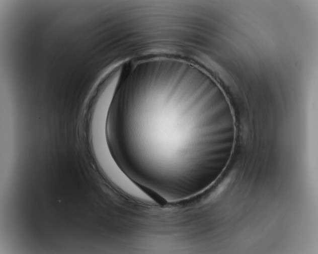 X0000091930830200709261912