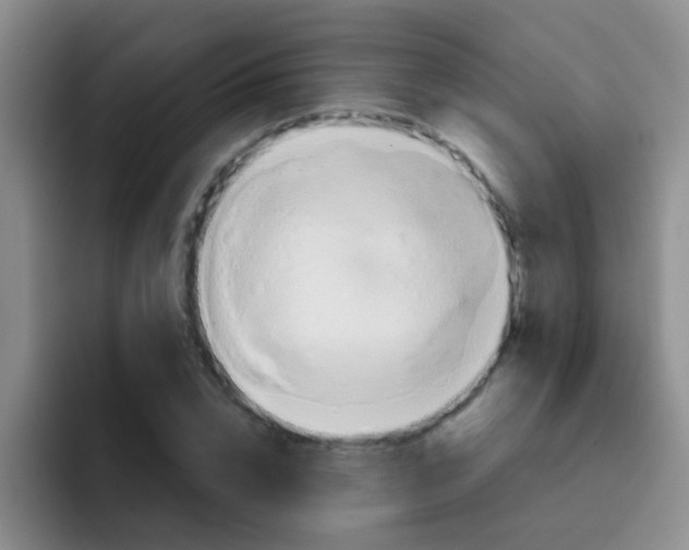 X0000091930832200709261912