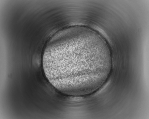 X0000091930833200709261912