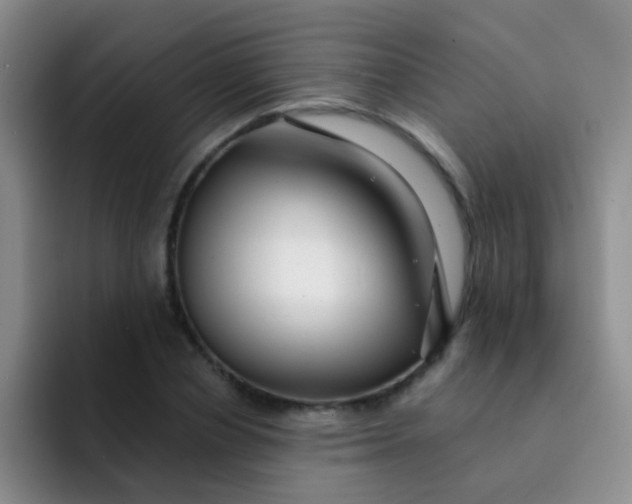 X0000091930834200709261912