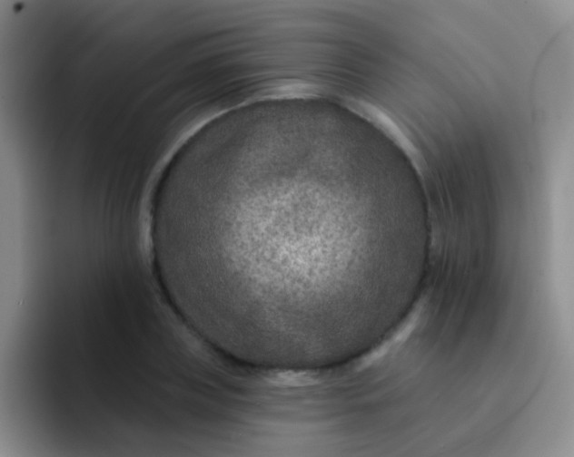 X0000091930835200709261912