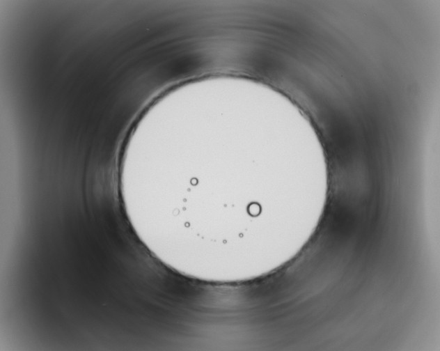X0000091930836200709261912