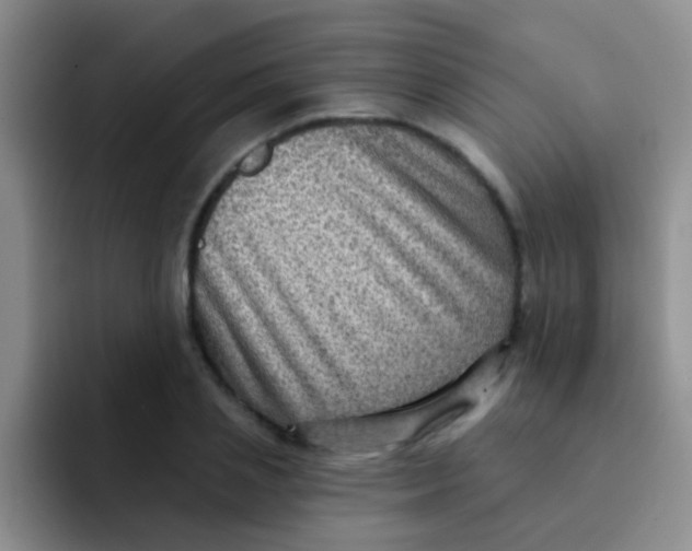 X0000091930837200709261912