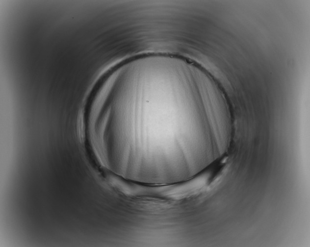 X0000091930838200709261913