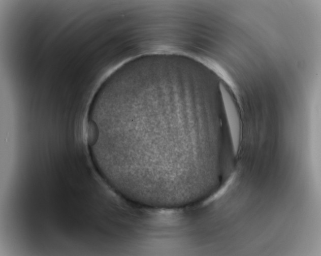 X0000091930839200709261913