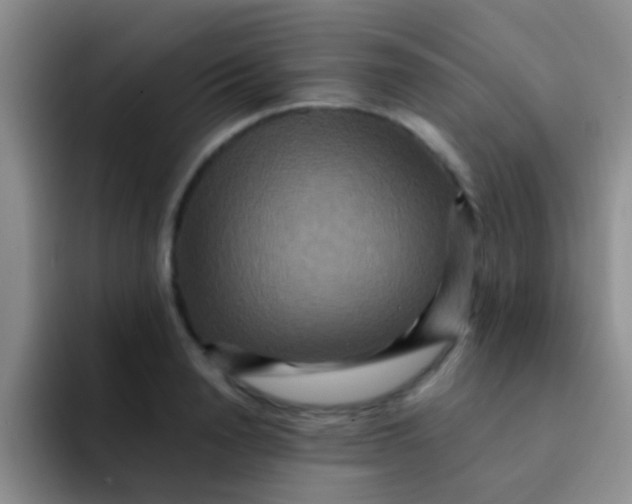 X0000091930846200709261913