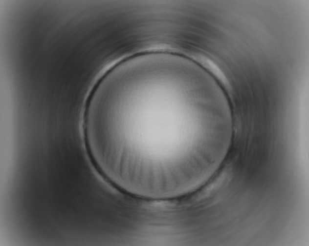 X0000091930847200709261913