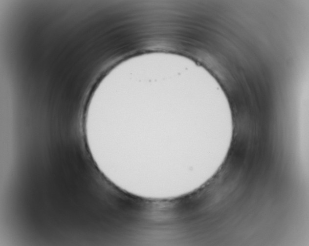 X0000091930848200709261913