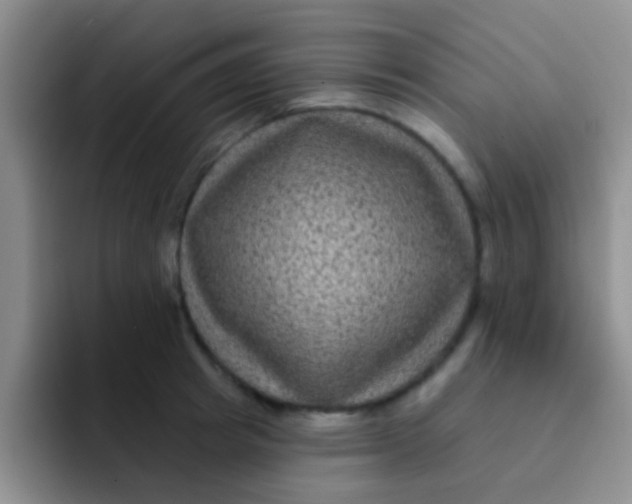 X0000091930849200709261913